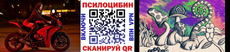 Псилоцибиновые грибы мухоморы  kraken ТОР  Гаджиево  дарнет шоп 